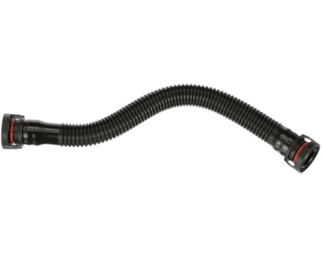 Hose, engine block ventilation