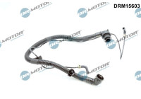Hose, engine block ventilation
