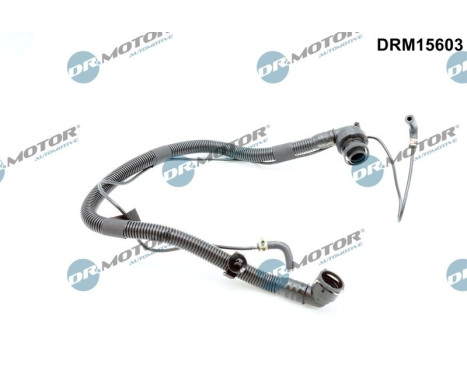 Hose, engine block ventilation