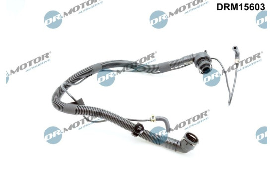 Hose, engine block ventilation