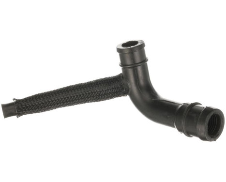 Hose, engine block ventilation