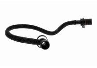 Hose, engine block ventilation