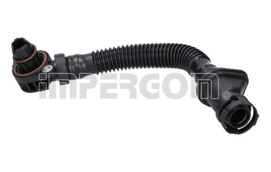 Hose, engine block ventilation