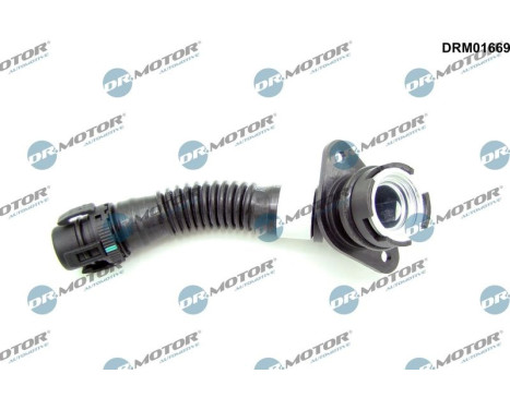 Hose, engine block ventilation