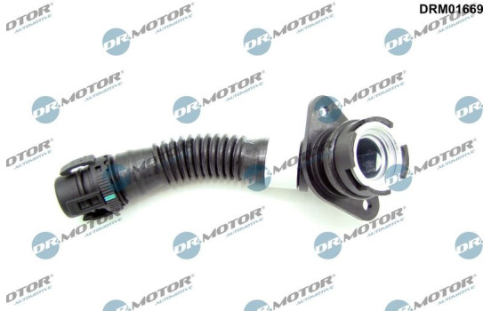 Hose, engine block ventilation