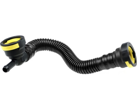 Hose, engine block ventilation