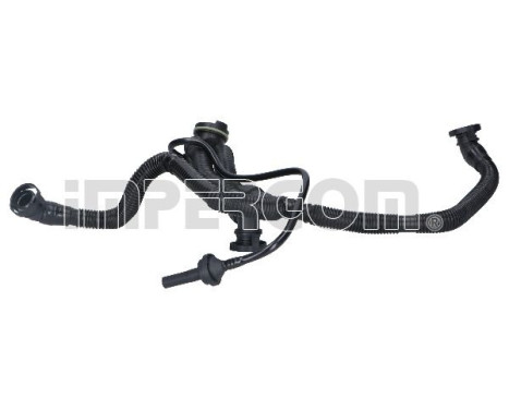 Hose, engine block ventilation