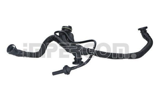 Hose, engine block ventilation