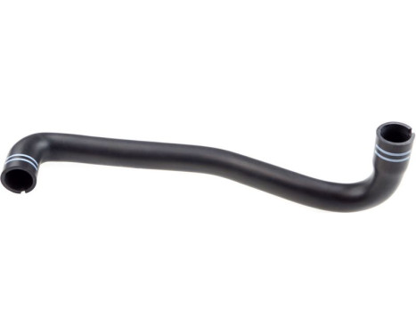 Hose, engine block ventilation