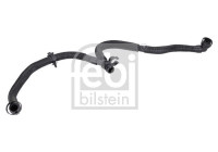 Hose, engine block ventilation