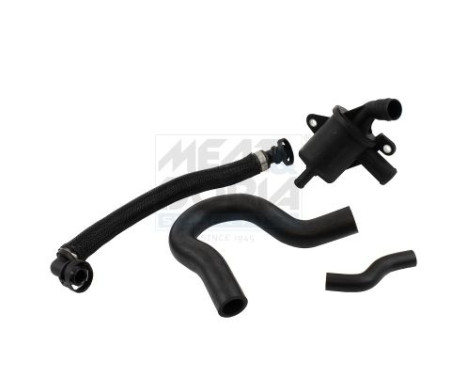 Hose, engine block ventilation