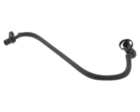 Hose, engine block ventilation