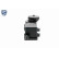 Oil Trap, crankcase breather EXPERT KITS +, Thumbnail 11