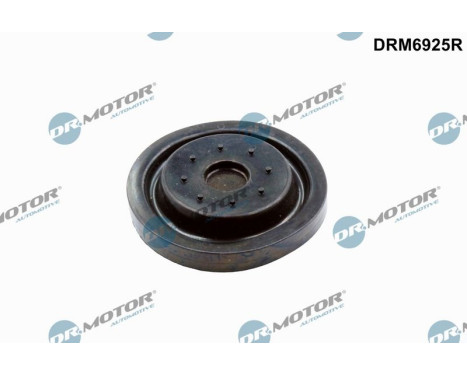 Repair kit, crankcase ventilation