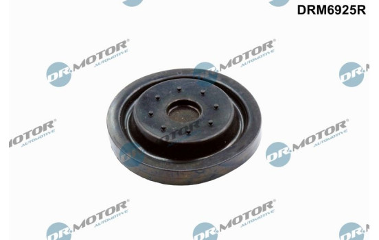 Repair kit, crankcase ventilation