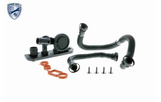 Repair Set, crankcase breather EXPERT KITS +