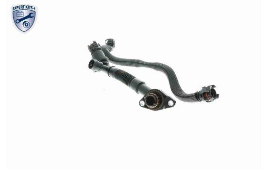 Repair Set, crankcase breather EXPERT KITS +, Image 6