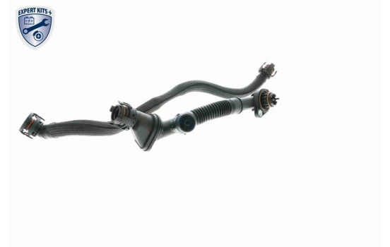 Repair Set, crankcase breather EXPERT KITS +, Image 11