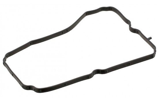 Seal, crankcase breather