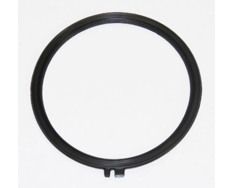 Seal, crankcase breather