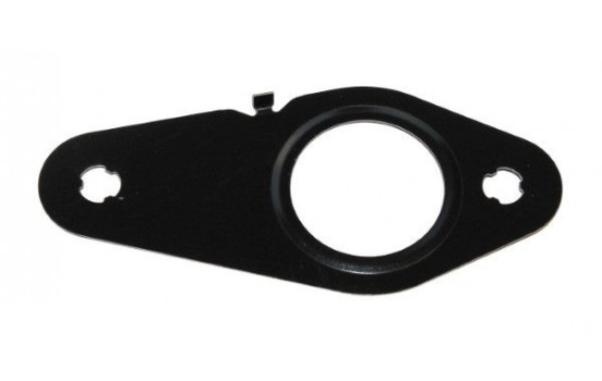 Seal, crankcase breather