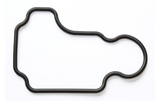 Seal, crankcase breather