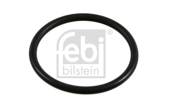 Seal Ring, Image 2