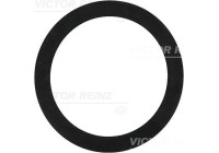 Sealing ring