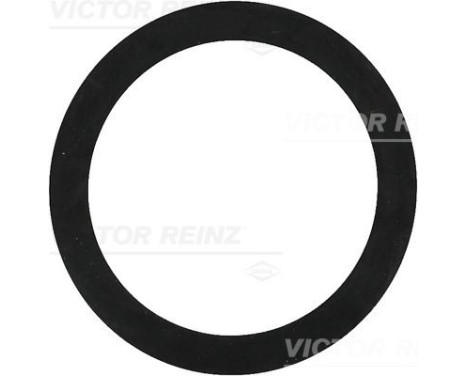 Sealing ring