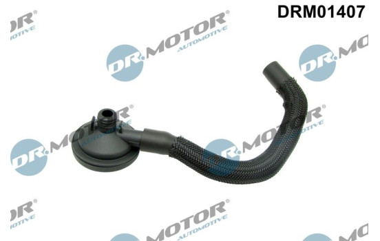 Valve, camshaft housing breather