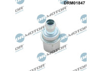 Valve, camshaft housing vent