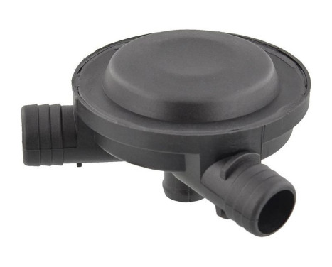 Valve, engine block breather