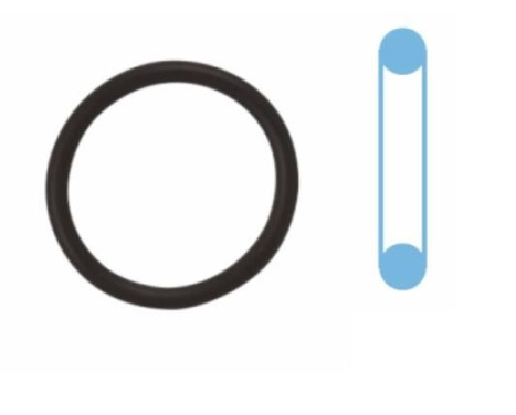 JOINT TORQUE 18,000 X 2,000 MM, Image 2