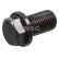 Oil pan screw plug