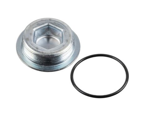 Screw Plug, crankcase 38554 FEBI