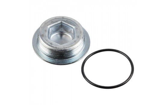 Screw Plug, crankcase 38554 FEBI
