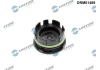 Screw plug, engine crankcase