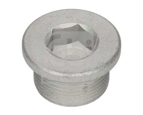 Screw plug, gearbox housing 193711 FEBI