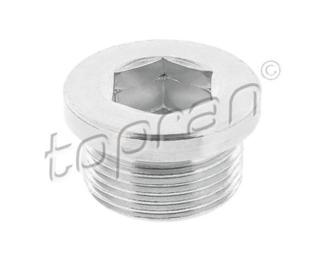 Screw plug, gearbox housing