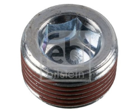 Screw plug, oil pan 188748 FEBI