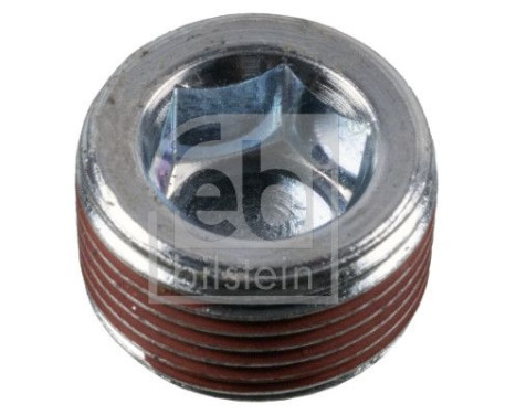 Screw plug, oil pan 188748 FEBI