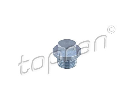 Screw plug, oil pan