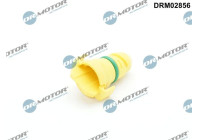 Screw plug, oil pan