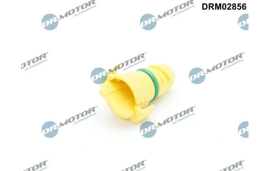 Screw plug, oil pan