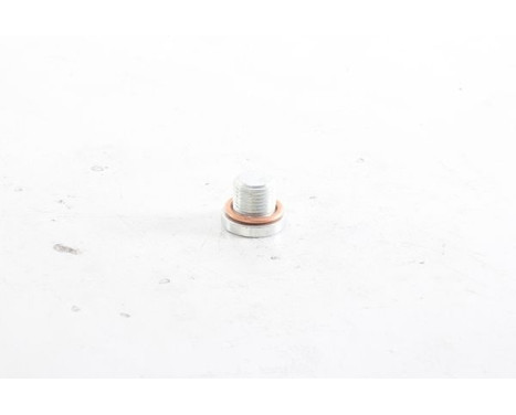 Screw plug, oil pan