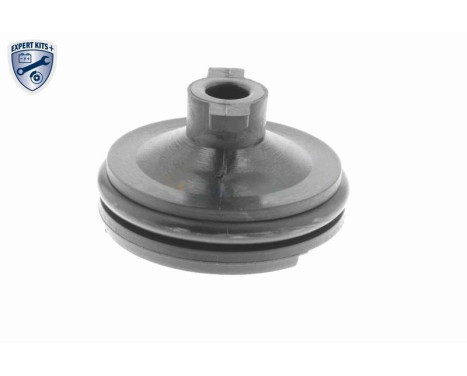 Screw plug, oil pan, Image 10