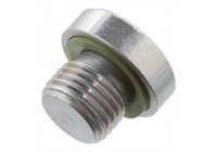 Screw Plug, transmission housing 100546 FEBI