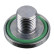 Screw Plug, transmission housing 173581 FEBI
