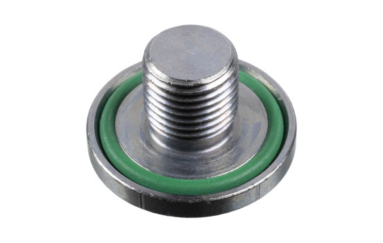 Screw Plug, transmission housing 173581 FEBI