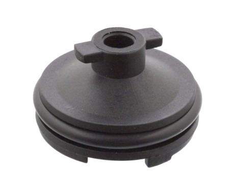 Screw Plug, transmission housing febi Plus 106566